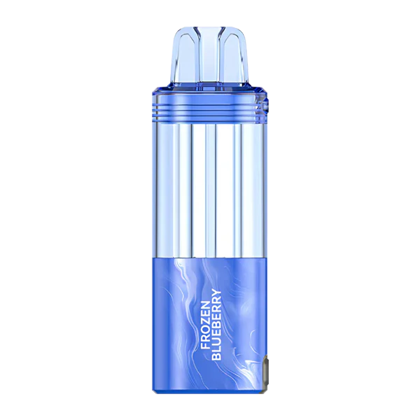 Foger_SwitchPro_DisposablePod_30KPuffs_FrozenBlueberry