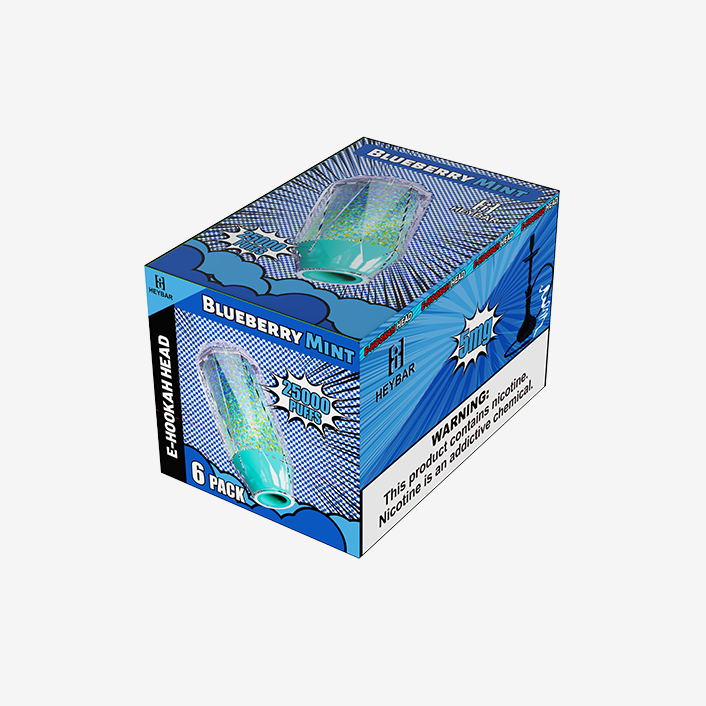 Heybar_Disposable_25KPuffs_BlueberryMint
