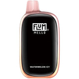 FlumMello_WatermelonIcy