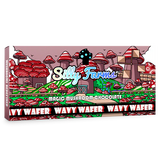 Silly Farms Magic Mushroom Chocolate | Multiple Flavor Option